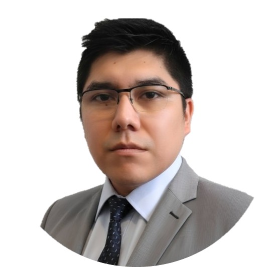 Mg. Ing. Carlos Arana