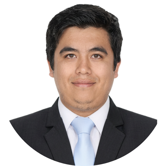 Mg. Ing. Carlos Cerna